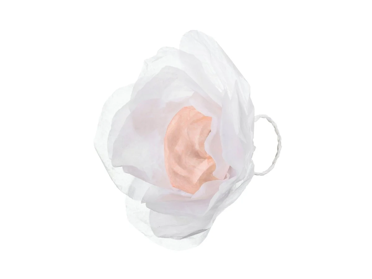 Miniatuur 2