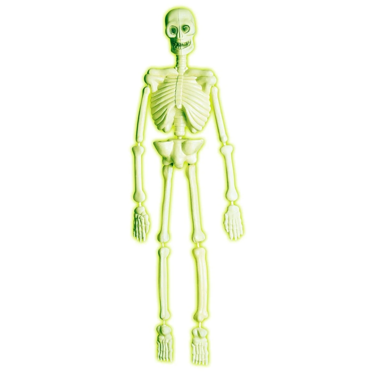 Miniatuur 1