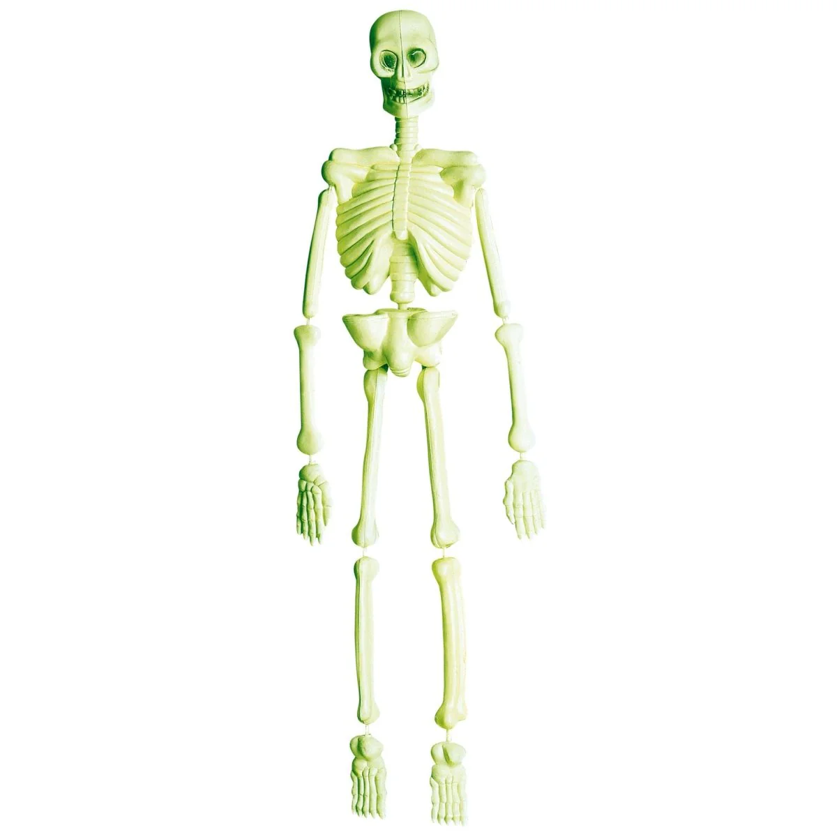 Miniatuur 2