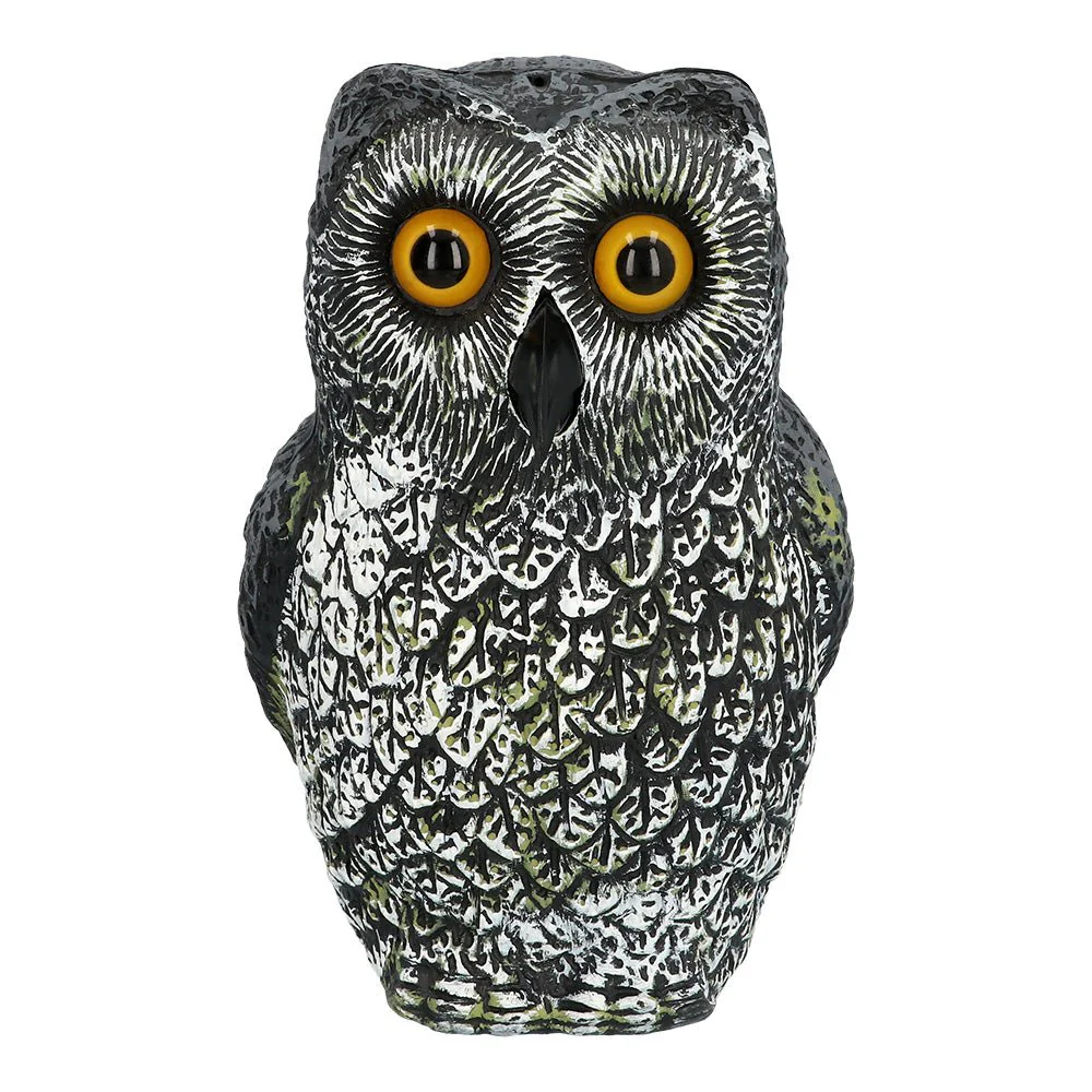Productafbeelding 1