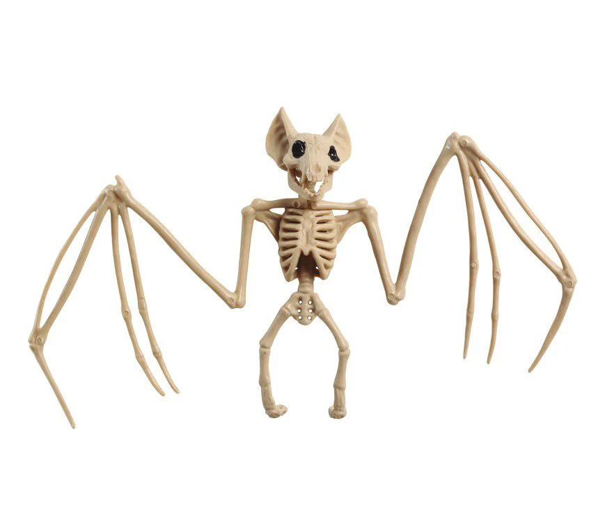 Miniatuur 1