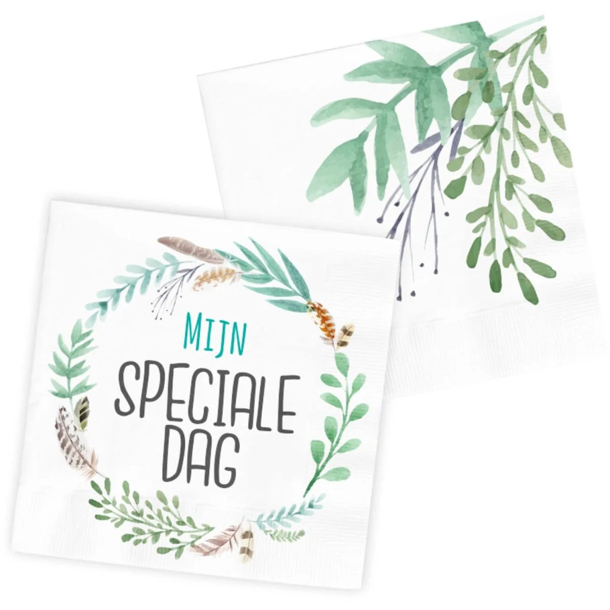 Miniatuur 1
