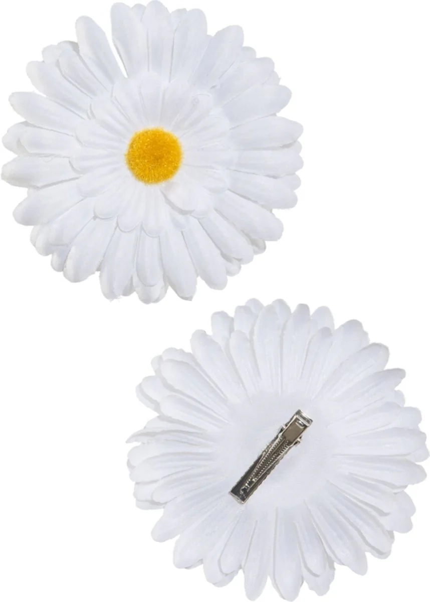 Miniatuur 2